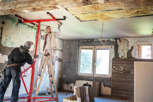 Insulation Inspection Services in Meridian, MS